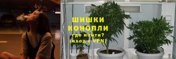 гидра Каменногорск
