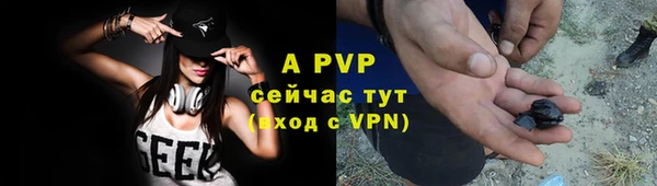 гидра Каменногорск