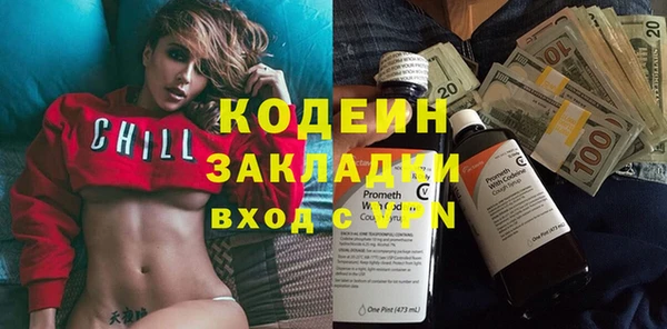 PSILOCYBIN Каменка