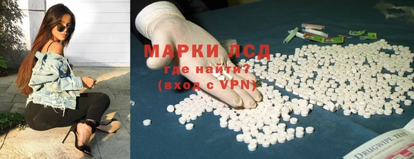PSILOCYBIN Каменка