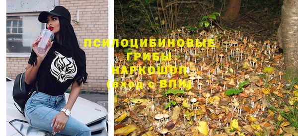 PSILOCYBIN Каменка