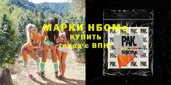 гидра Каменногорск