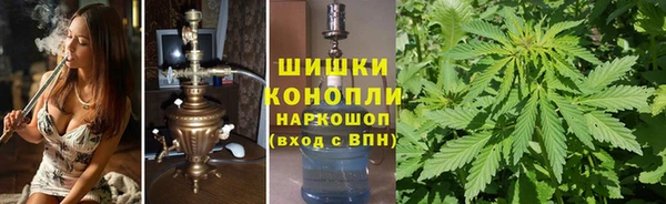 гидра Каменногорск
