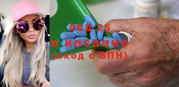 гидра Каменногорск